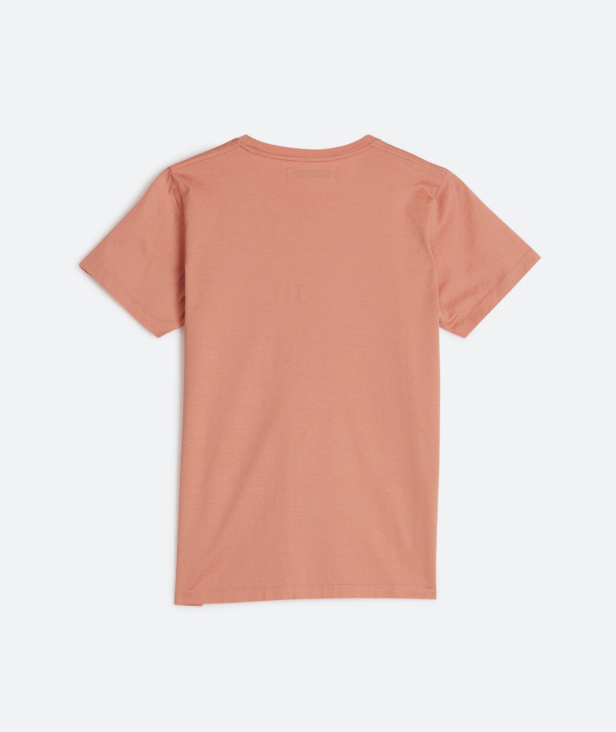 تیشرت مدل Cotton - تصویر 2