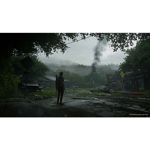 بازی The Last of Us Part II - تصویر 3